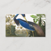 Carte De Visite Louisiana Heron par John James Audubon (Devant)