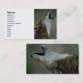 Carte De Visite Loup de bois de construction sauvage hurlant (Devant / Derrière)