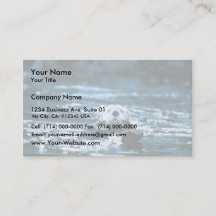 Carte De Visite Loup de mer