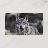 Carte De Visite Loup gris (Dos)