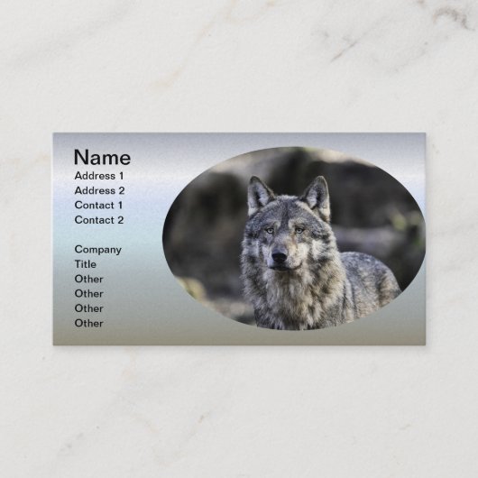 Carte De Visite Loup gris (Devant)