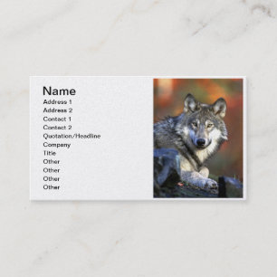 Carte De Visite Loup gris - loup de bois de construction - série