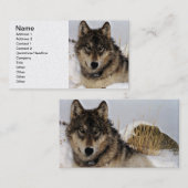 Carte De Visite Loup gris ou loup de bois de construction (Devant / Derrière)