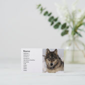 Carte De Visite Loup gris ou loup de bois de construction (Debout devant)