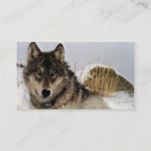 Carte De Visite Loup gris ou loup de bois de construction (Dos)