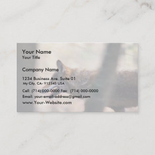 Carte De Visite Loup rouge