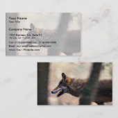 Carte De Visite Loup rouge (Devant / Derrière)