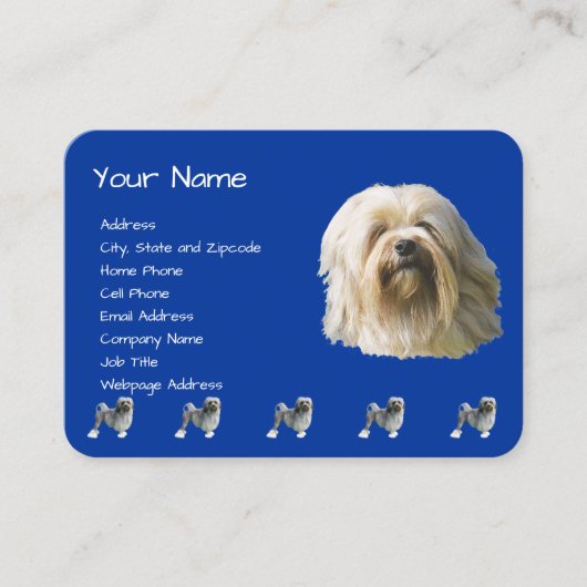 Carte De Visite Lowchen sur bleu-foncé (Devant)