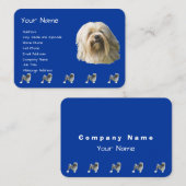 Carte De Visite Lowchen sur bleu-foncé (Devant / Derrière)