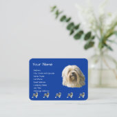 Carte De Visite Lowchen sur bleu-foncé (Debout devant)