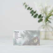 Carte De Visite Lynx de Canada (Debout devant)