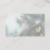 Carte De Visite Lynx de Canada (Dos)