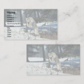 Carte De Visite Lynx sautant, bondissant sur la neige (Devant / Derrière)