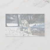 Carte De Visite Lynx sautant, bondissant sur la neige (Dos)
