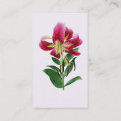 Carte De Visite Lys Stargazer vu de dessus (Dos)