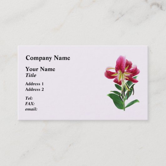 Carte De Visite Lys Stargazer vu de dessus (Devant)