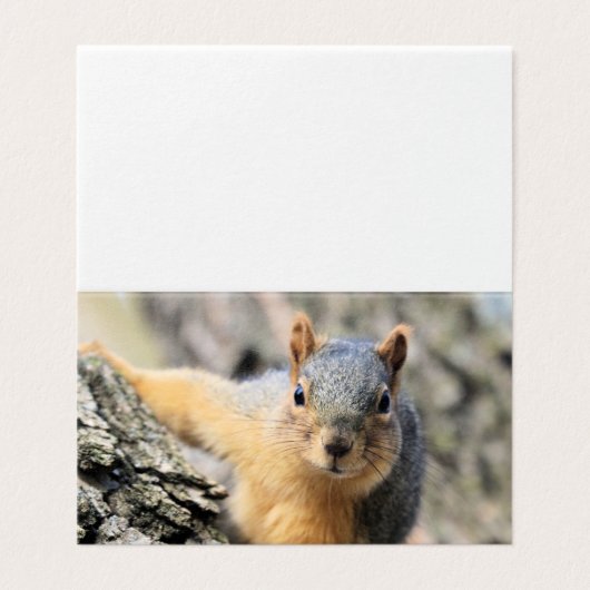 Carte De Visite M. Cutie (Extérieur déplié)