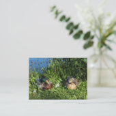 Carte De Visite M. et Mme Mallard (Debout devant)