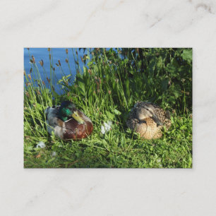 Carte De Visite M. et Mme Mallard