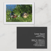 Carte De Visite M. et Mme Mallard (Bordé) (Devant / Derrière)