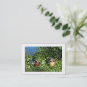 Carte De Visite M. et Mme Mallard (Bordé) (Debout devant)