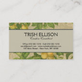 Carte De Visite Macaw Blue Jaune Tropical Jungle Antique (Dos)