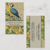 Carte De Visite Macaw Blue Jaune Tropical Jungle Antique (Devant / Derrière)
