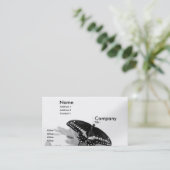 Carte De Visite Machaon noir (Debout devant)