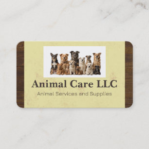 Carte De Visite Magasin d'animaux   Services pour animaux