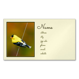 Carte De Visite Magnétique American Goldfinch - Photo originale