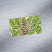 Carte De Visite Magnétique Ananas sauvage Fruit tropical dans la nature (In Situ)