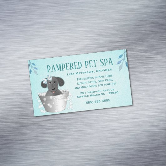 Carte De Visite Magnétique Animaux de compagnie dans le laveur (In Situ)