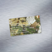 Carte De Visite Magnétique Argent et or Noël Arbre II (In Situ)