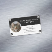 Carte De Visite Magnétique Black and White Maine Coon Customizable  (In Situ)