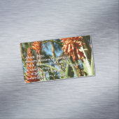 Carte De Visite Magnétique Black-Chinned Hummingbird in Flight (In Situ)