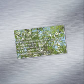 Carte De Visite Magnétique Branche of Dogwood Blossoms Spring Trees (In Situ)