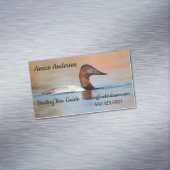 Carte De Visite Magnétique Canvasback canard (In Situ)