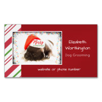 Carlin festif dans le chapeau de Noël rouge avec l