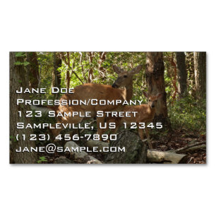 Carte De Visite Magnétique Cerf et Biche au Parc National de Shenandoah