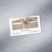 Carte De Visite Magnétique Chat Beige Couché Sur Lit Beige (In Situ)