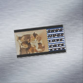 Carte De Visite Magnétique Chatons dans la photo de repos original (In Situ)