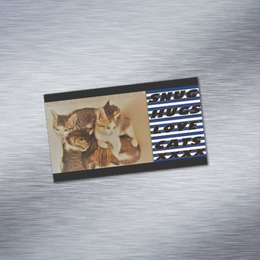 Carte De Visite Magnétique Chatons dans la photo de repos original (In Situ)