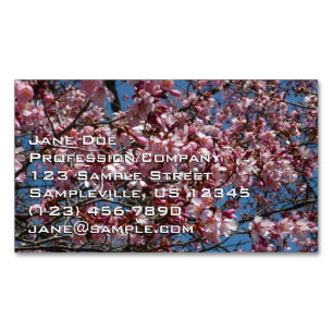 Carte De Visite Magnétique Cherry Blossoms et Blue Sky Spring Floral