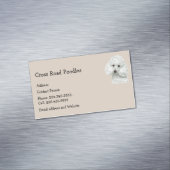 Carte De Visite Magnétique Chien blanc Anima Anima (In Situ)