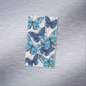 Carte De Visite Magnétique Composition des papillons blancs et bleus (In Situ)