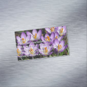 Carte De Visite Magnétique Crocus violets ensoleillés (In Situ)