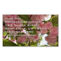 Double floraison cerisier III printemps fleuri