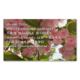 Carte De Visite Magnétique Double floraison cerisier III printemps fleuri