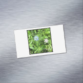 Carte De Visite Magnétique Espoir (In Situ)