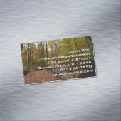 Carte De Visite Magnétique Fall Creek à Laurel Hill State Park Pennsylvania (In Situ)